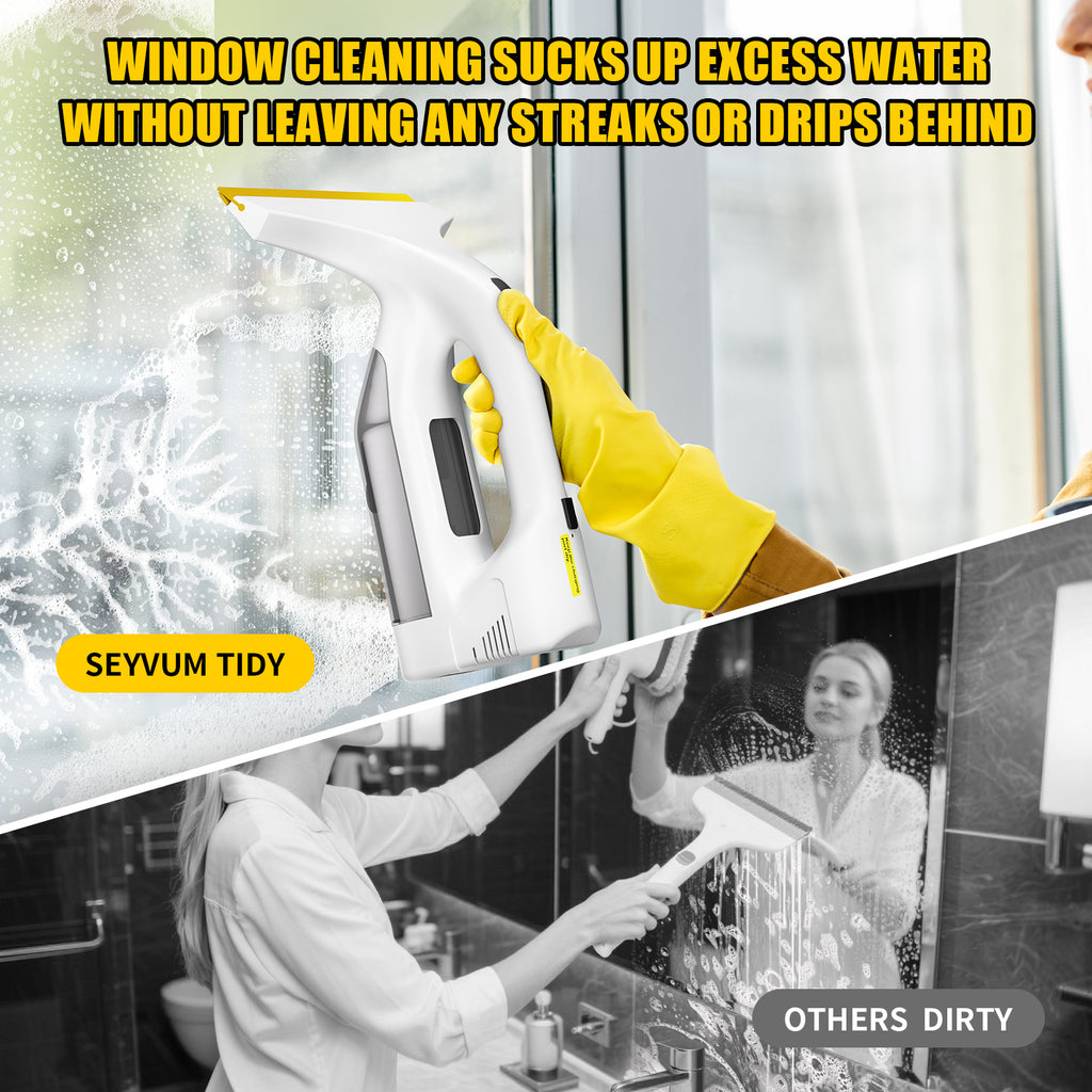 Electric Window Vacuum WV 1 Plus, Ideal for Showers, Mirrors, Glass